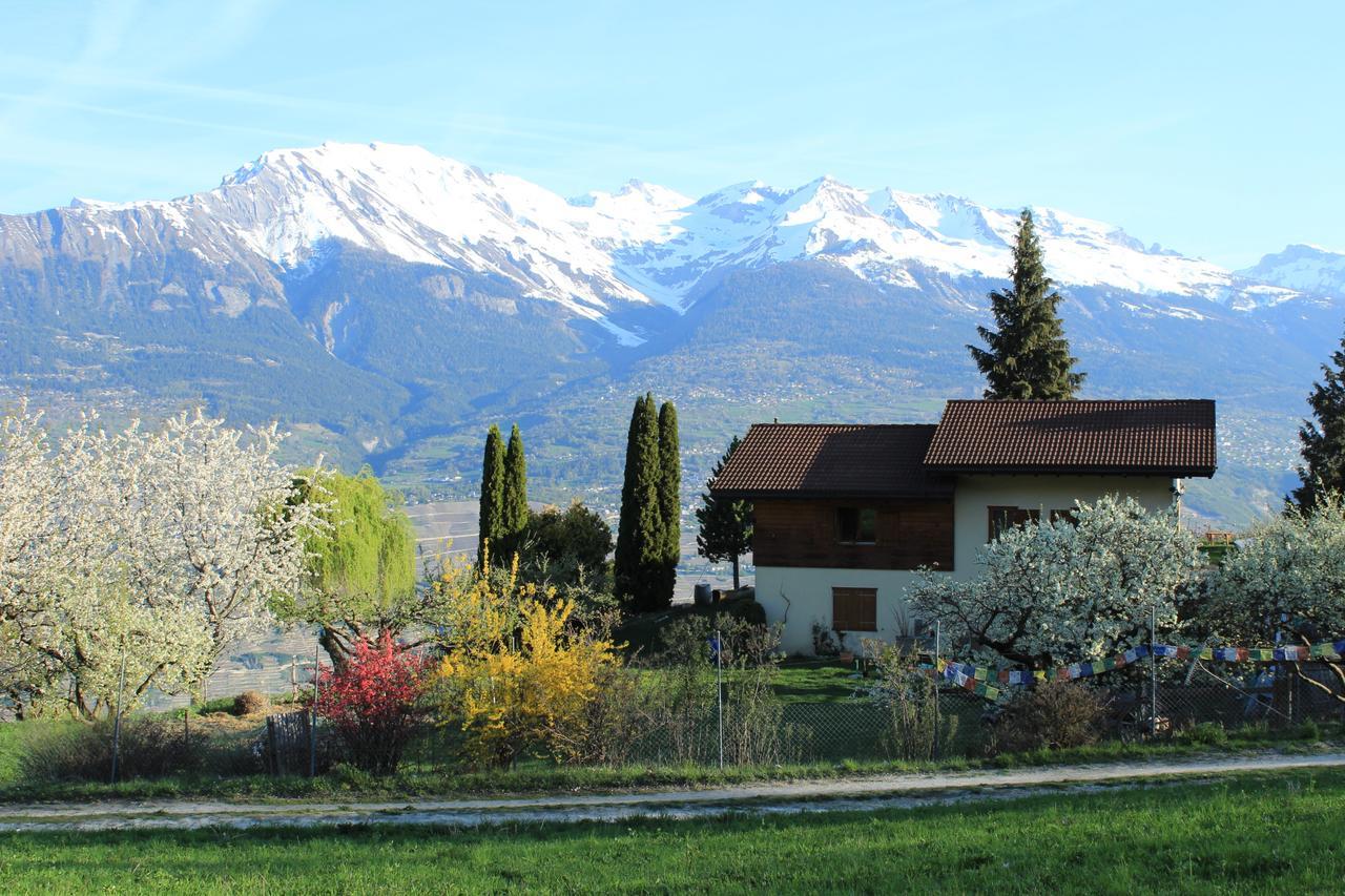 Domaine Bellevie BnB Vex Extérieur photo