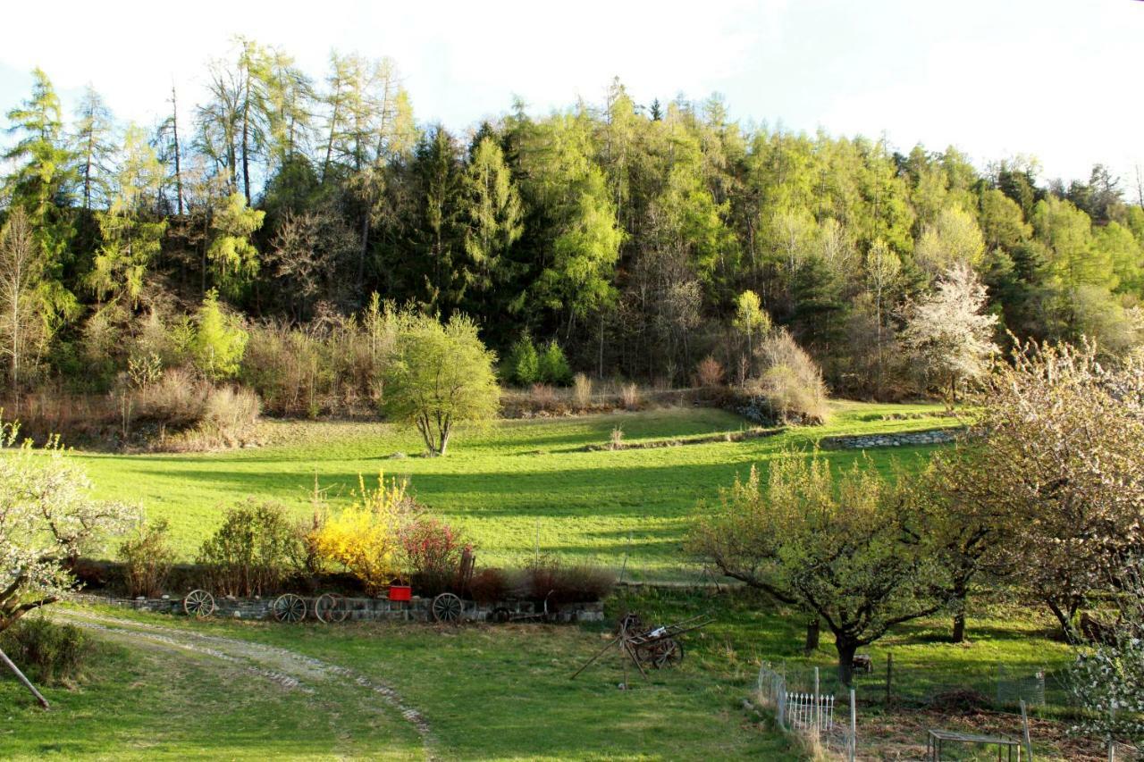 Domaine Bellevie BnB Vex Extérieur photo